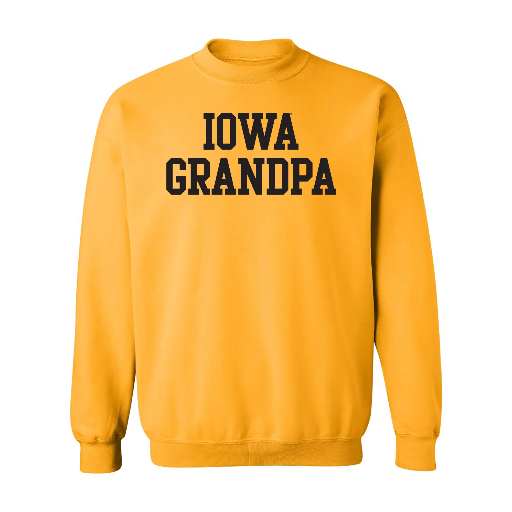 The University of Iowa